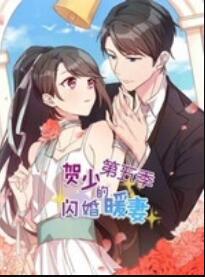 贺少的闪婚暖妻动态漫画第五季
