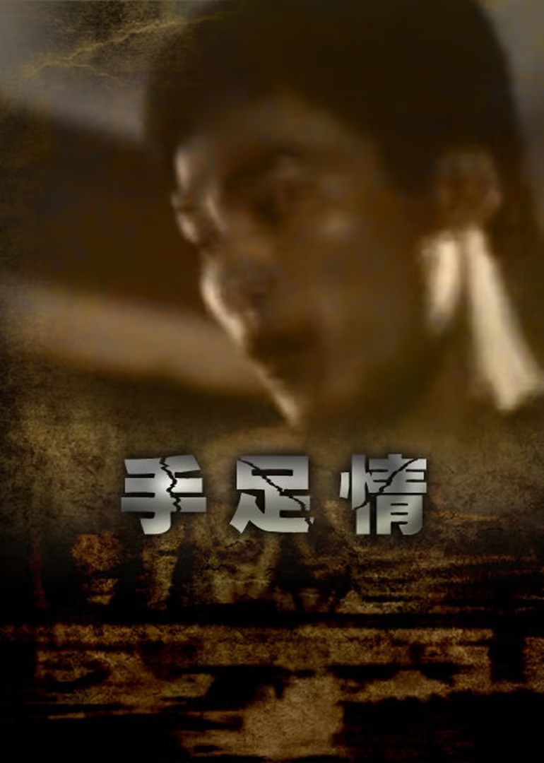 手足情第九季第八集第八集