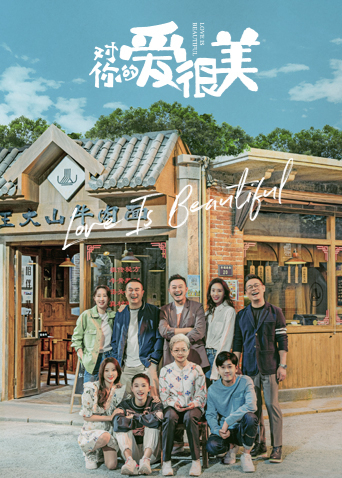 对你的爱很美dvd