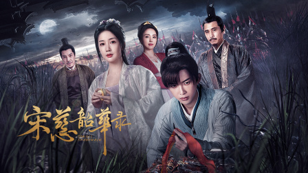 宋慈韶华录简体