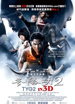 冬荫功第二季拳霸天下