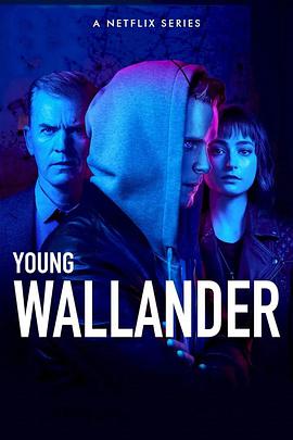青年维兰德第二季youngwallanderseason第二季