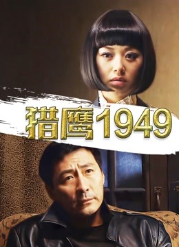 猎鹰第九季第四季第九季