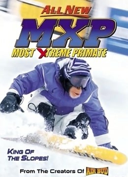 大展猴威第三季宝贝智多星