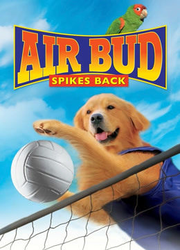 飞狗巴迪第五季排球健将英