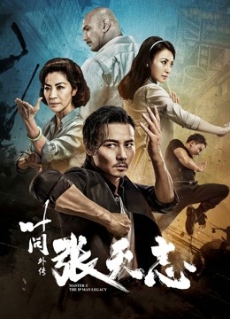 叶问补充篇张天志