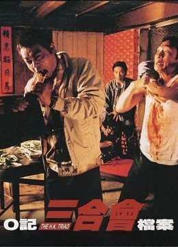 o记三合会档案粤配